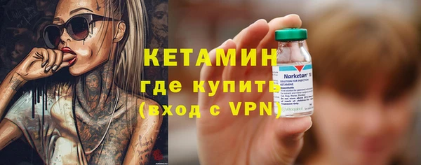 сатива Балахна