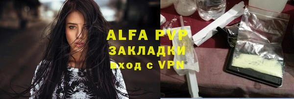 сатива Балахна
