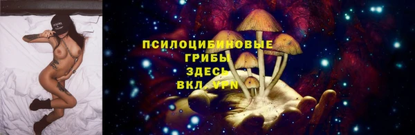 сатива Балахна