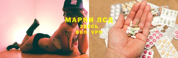 сатива Балахна