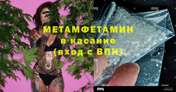 сатива Балахна