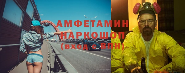 сатива Балахна
