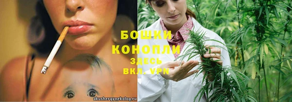 сатива Балахна